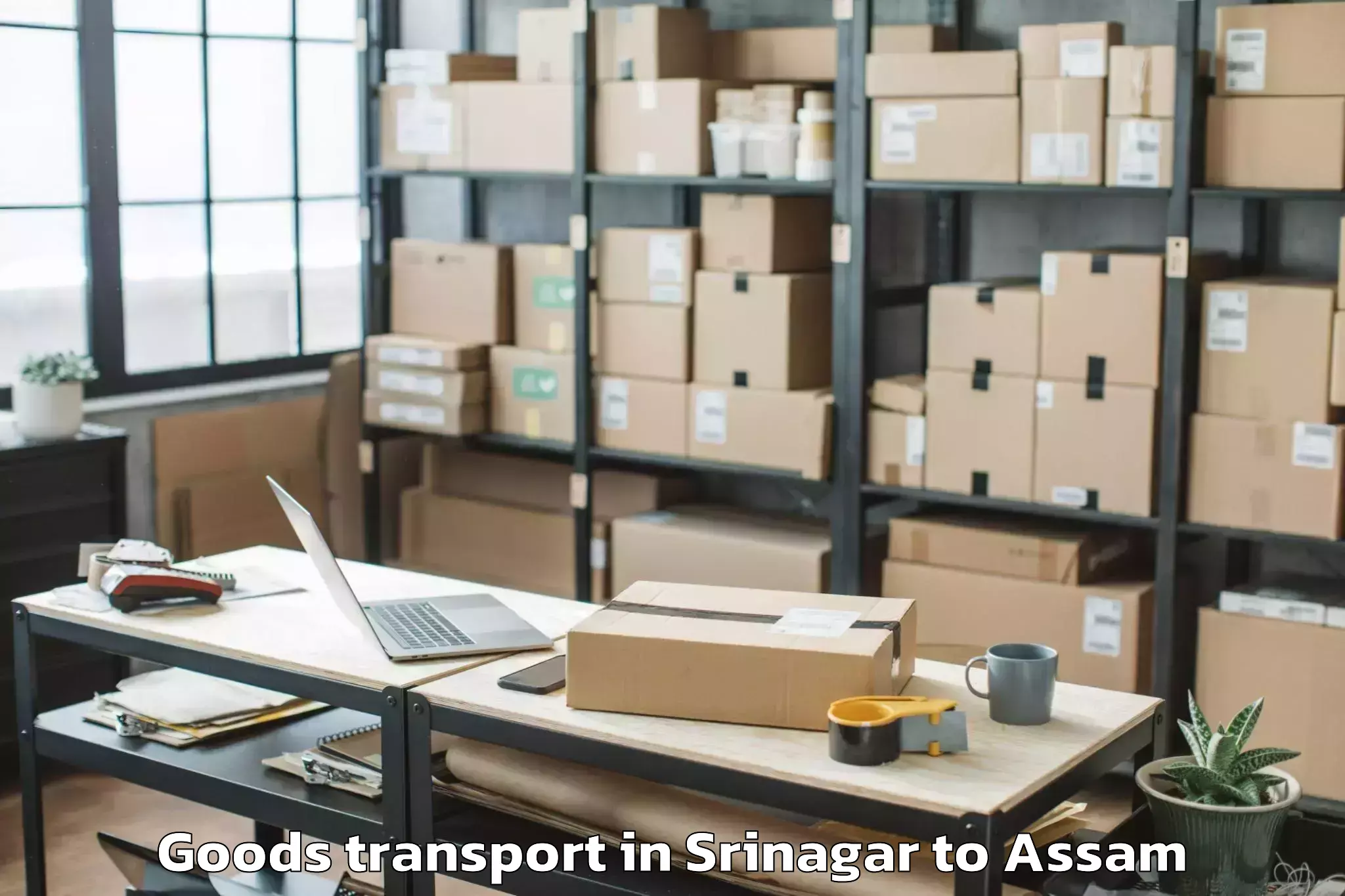 Quality Srinagar to Abhilashi University Guwahati Goods Transport